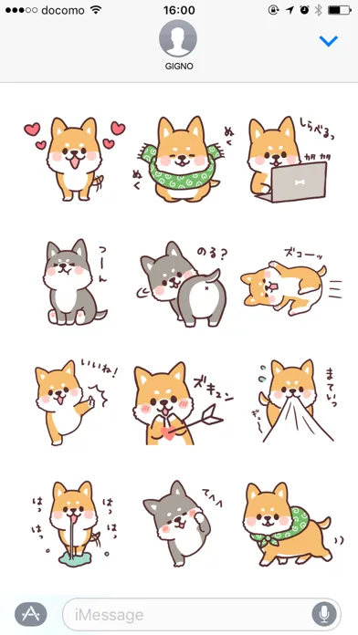 تصاویر fluffy fat Shiba2