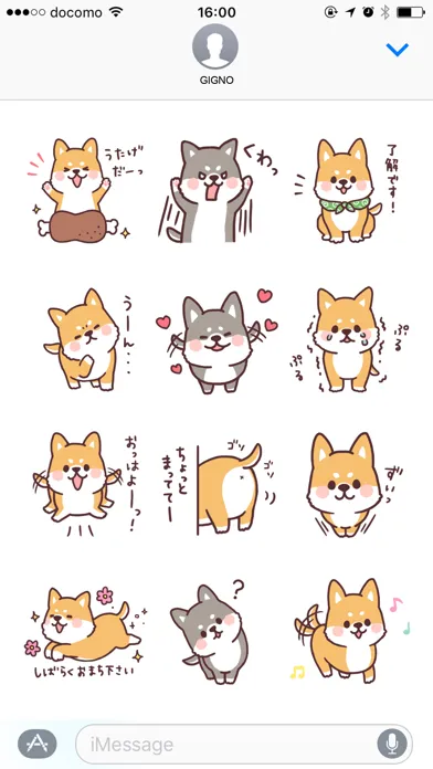 تصاویر fluffy fat Shiba2