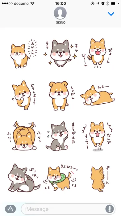 تصاویر fluffy fat Shiba2