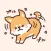 fluffy fat Shiba3
