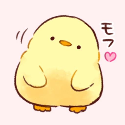 Soft and cute chick Soft and cute chick