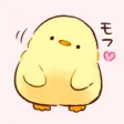 Soft and cute chick