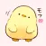 Soft and cute chick
