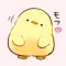Soft and cute chick