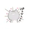 Pretty cat. Lovely ver.