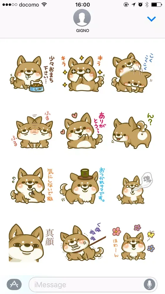 تصاویر japanese shiba-inu with you
