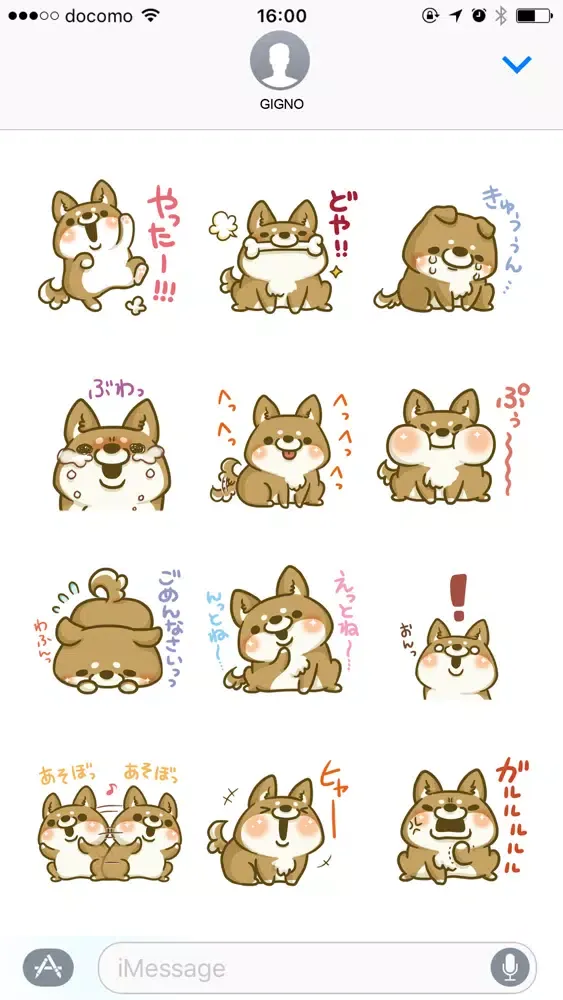 تصاویر japanese shiba-inu with you