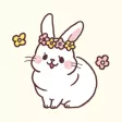 まふまふうさぎさん(Netherland Dwarf) まふまふうさぎさん(Netherland Dwarf)