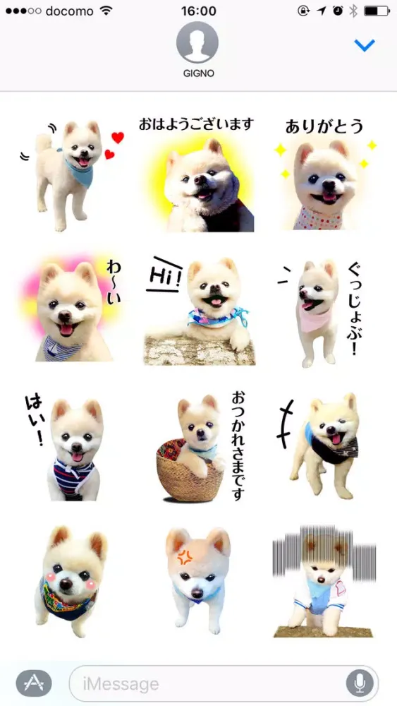 Ảnh chụp màn hình của 犬の俊介くん