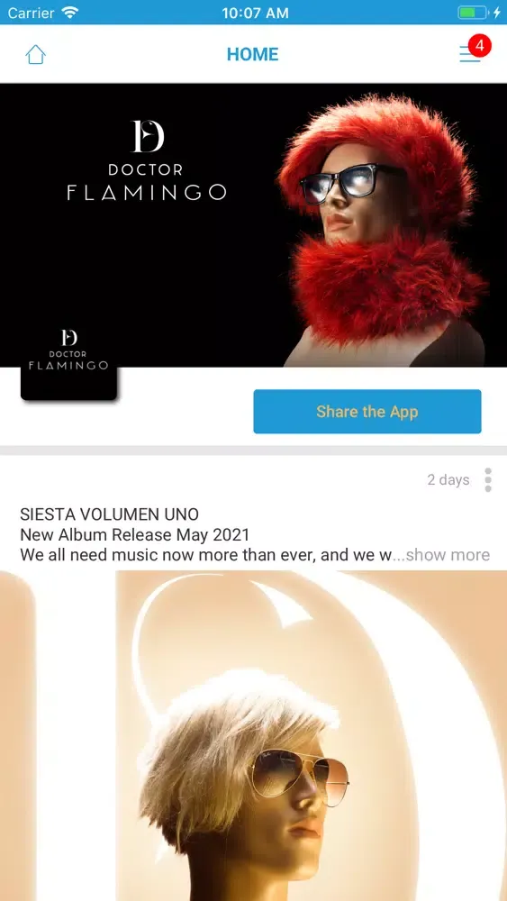 تصاویر Doctor Flamingo Music