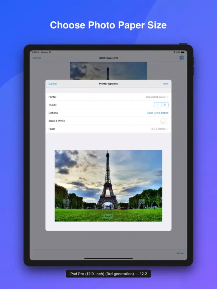 iPrint WiFi Printer - AirPrint iPad  سکرین شاٹس