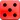 Dice