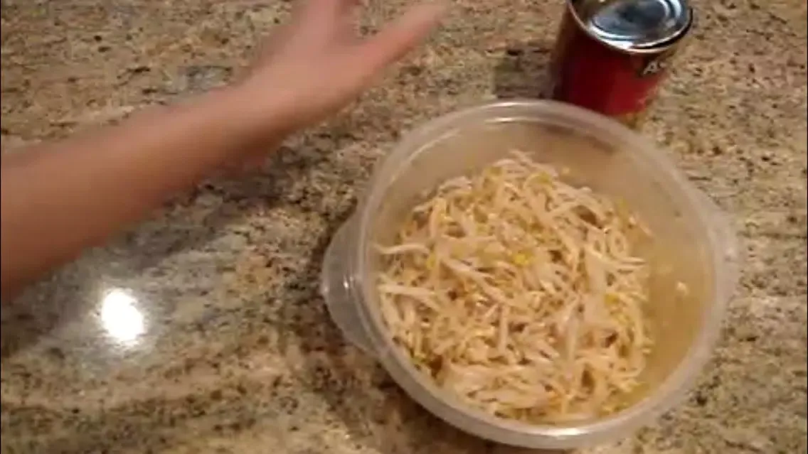 Capturas de pantalla de Chinese Cookery Master Class