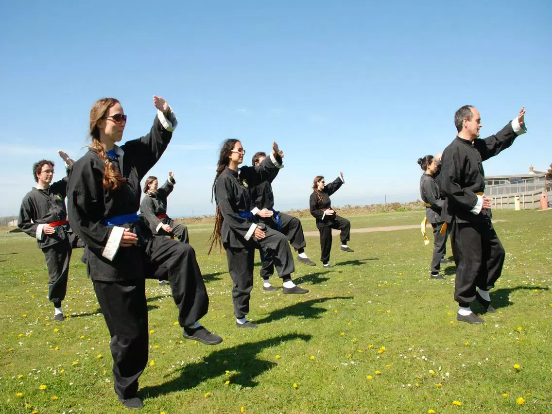 Teach Yourself Tai Chi iPad  Screenshots