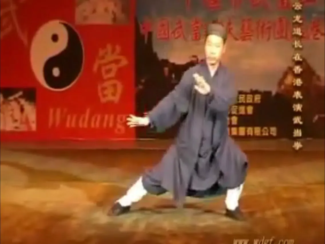 Teach Yourself Tai Chi iPad  Screenshots