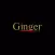 Ginger Spice Indian Takeaway