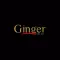 Ginger Spice Indian Takeaway