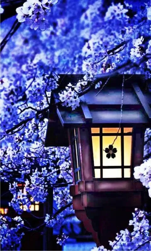 Capturas de pantalla de Sakura Snowfall Live Wallpaper