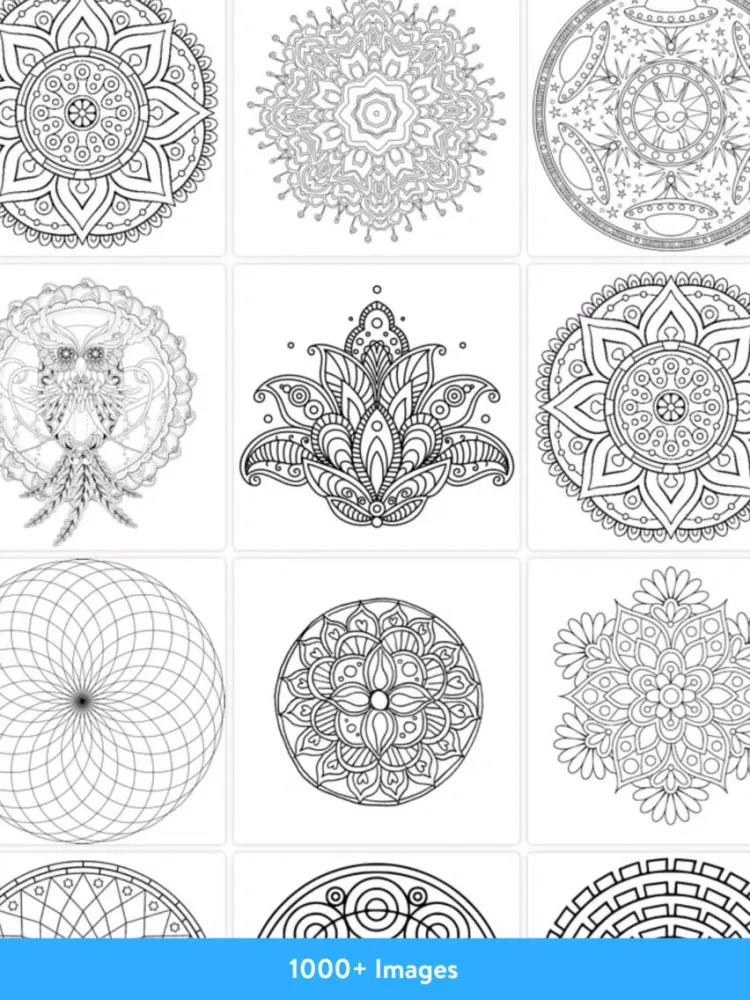 ภาพหน้าจอของ Colorfy for Adults iPad 