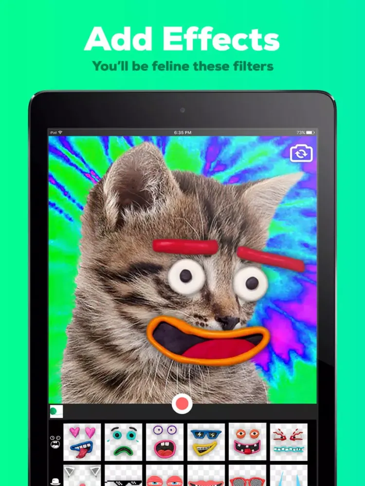 GIPHY Cam. The GIF Creator iPad 应用截图