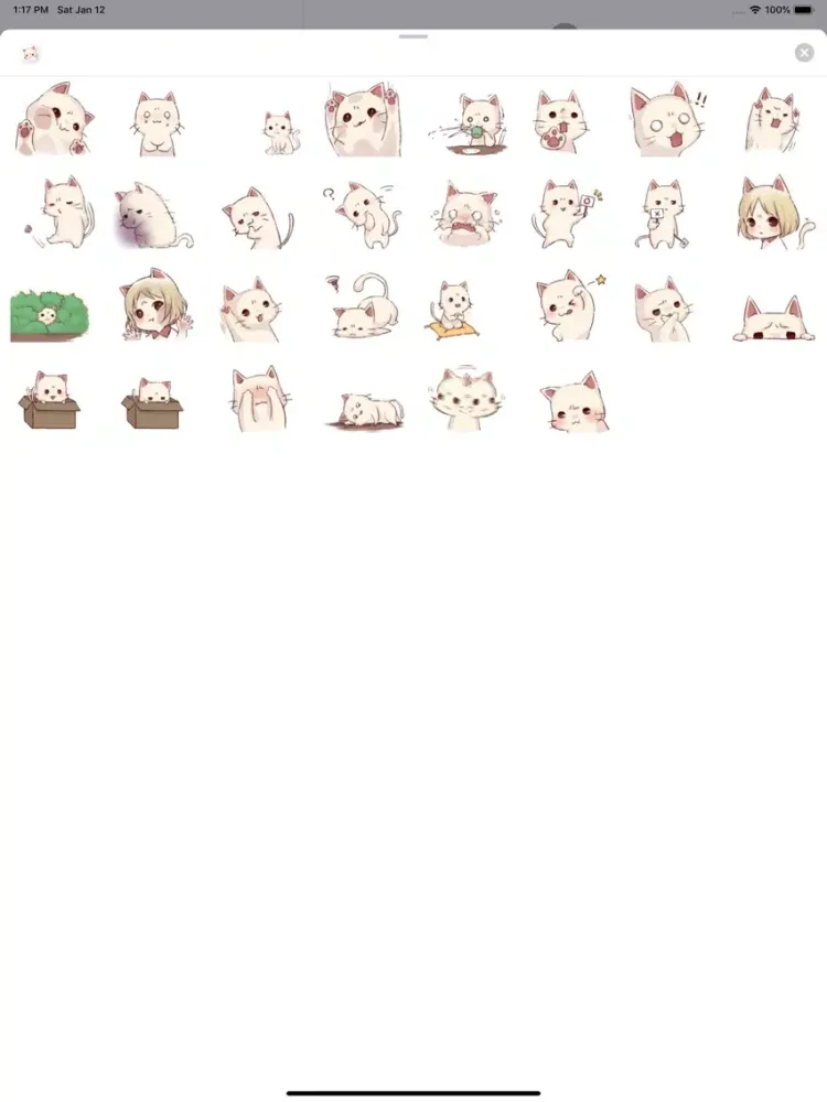 Miawu iPad  स्क्रीनशॉट