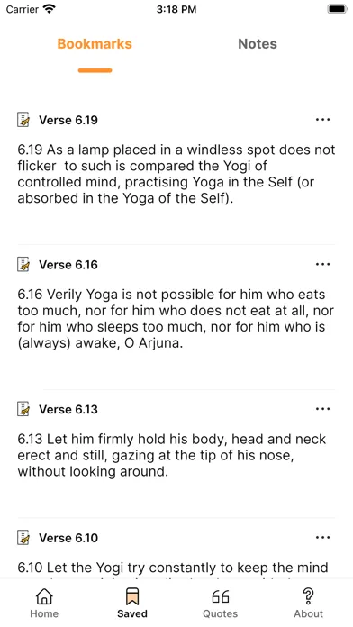 Screenshot di Bhagavad Gita: Hindi & English