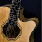 Gitar pro