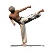 Taekwondo Forms (ITF/WTF) Taekwondo Forms (ITF/WTF)