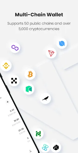 ภาพหน้าจอของ ONTO Cross-chain Crypto Wallet