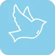 Small Wings VPN