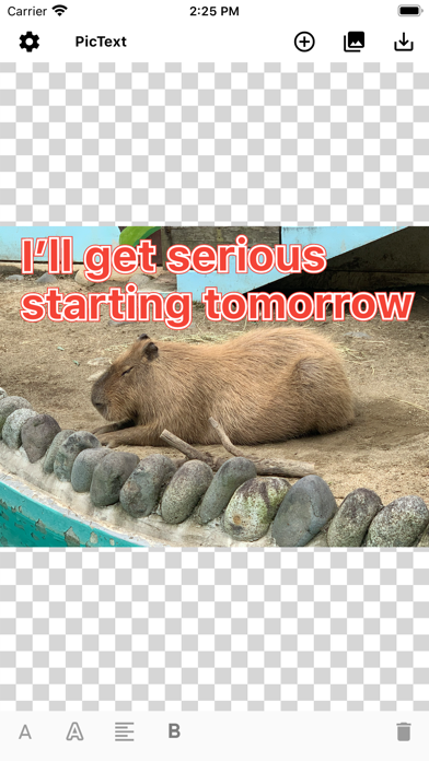 PicText - Text on photos应用截图