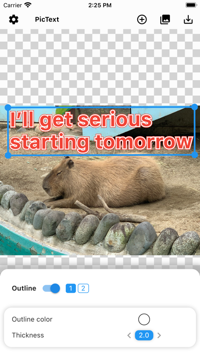 PicText - Text on photos应用截图