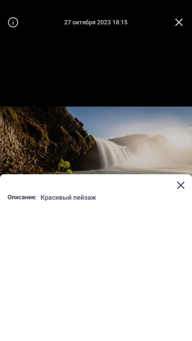 Favourites - Сохраненки应用截图