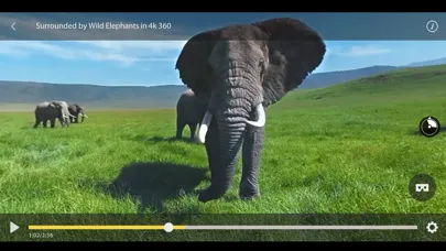 GizmoVR Lite: 360 Video & Tube Screenshots
