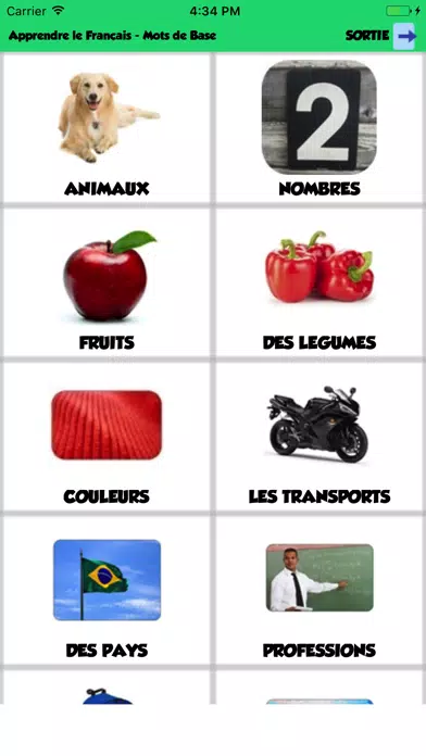 Скриншоты Learning French - Basic Words