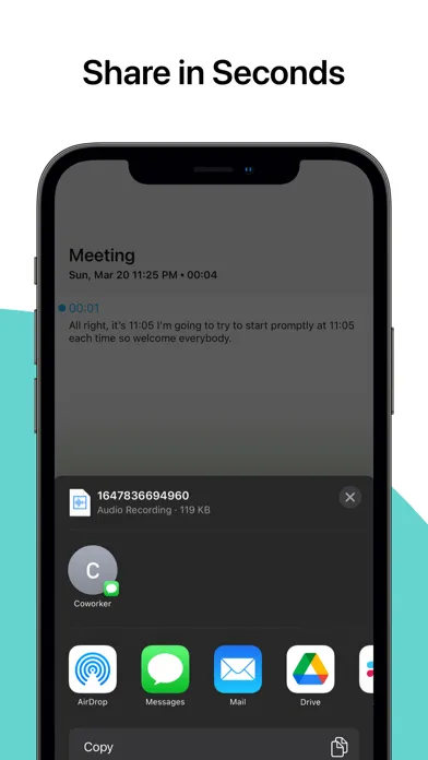 Voice Notes‎应用截图