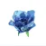 GLASSFLOWER Book Your Ride