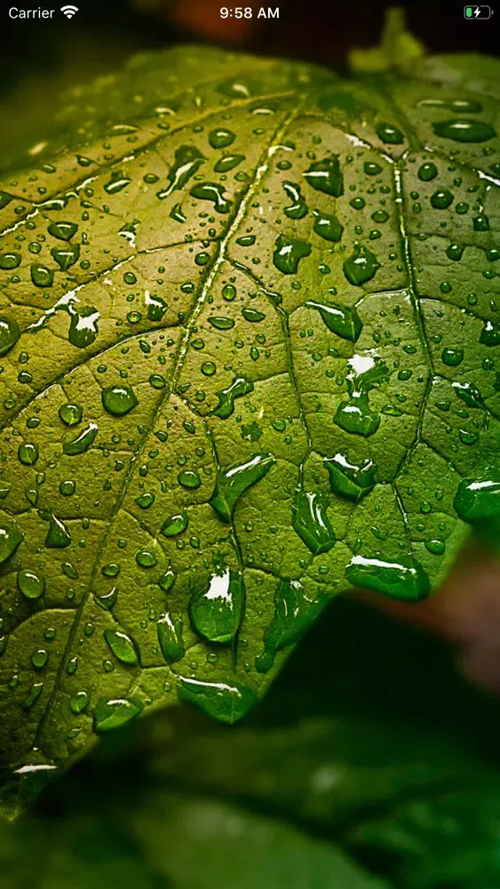 Wallpapers for iPhone Infinity سکرین شاٹس