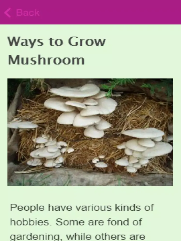 How To Grow Mushrooms iPad  Ekran Görüntüleri