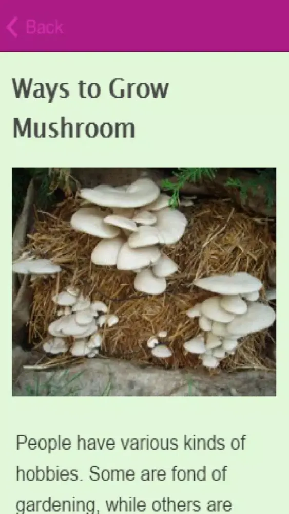 How To Grow Mushrooms Ekran Görüntüleri