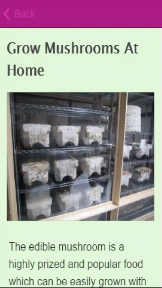 How To Grow Mushrooms Ekran Görüntüleri