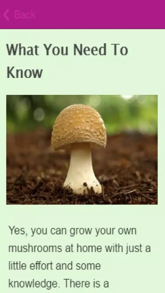 How To Grow Mushrooms Ekran Görüntüleri