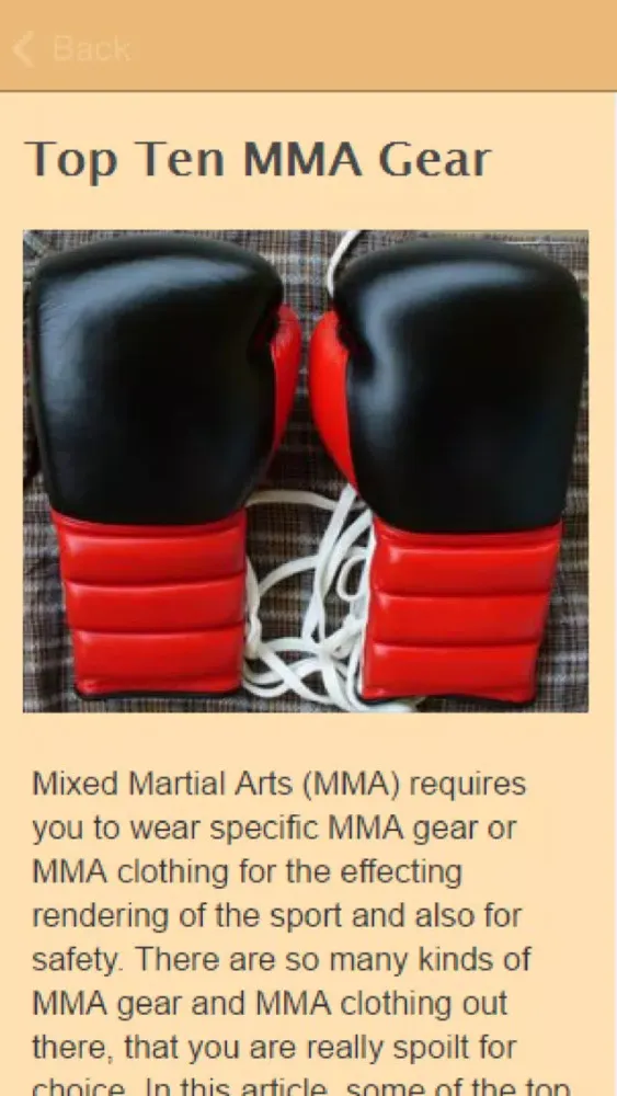 Tangkapan skrin How To Learn MMA