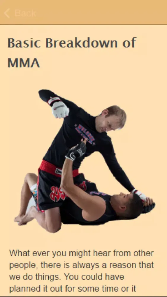 Tangkapan skrin How To Learn MMA