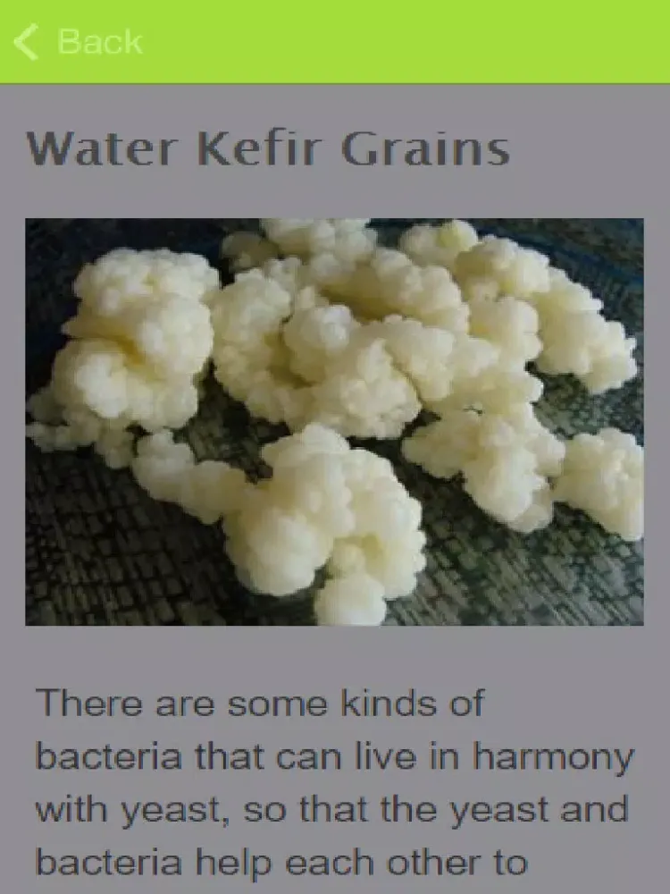 How To Make Kefir iPad  سکرین شاٹس