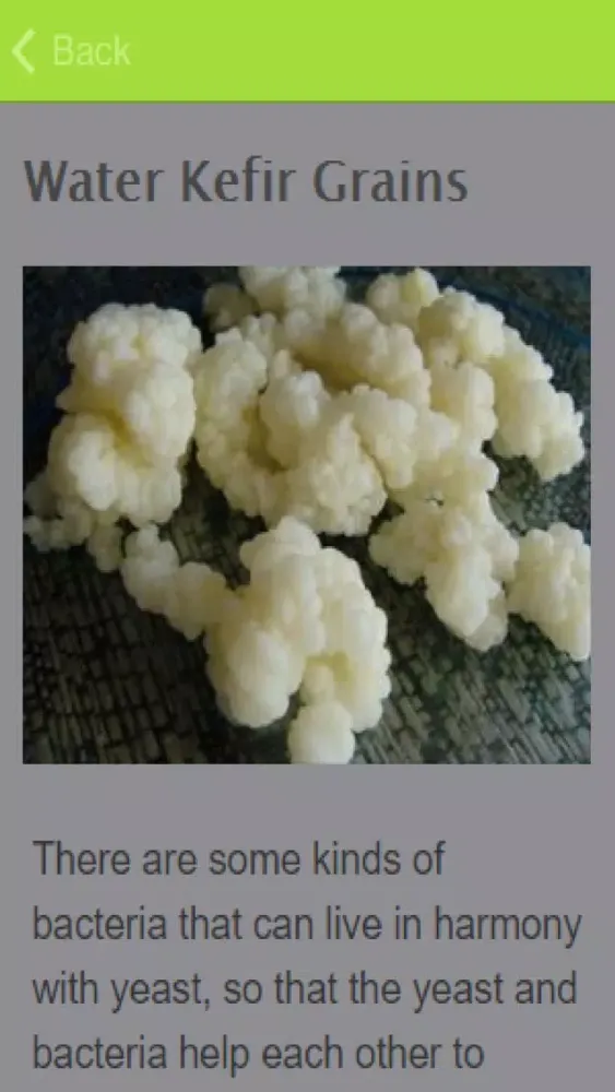 How To Make Kefir سکرین شاٹس