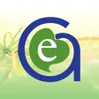 Global Essence UK Ltd