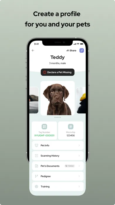 Tangkapan layar Global Pet Security