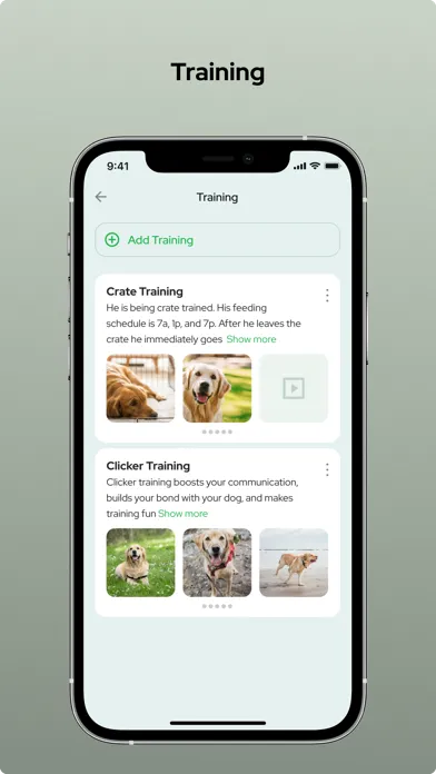 Tangkapan layar Global Pet Security