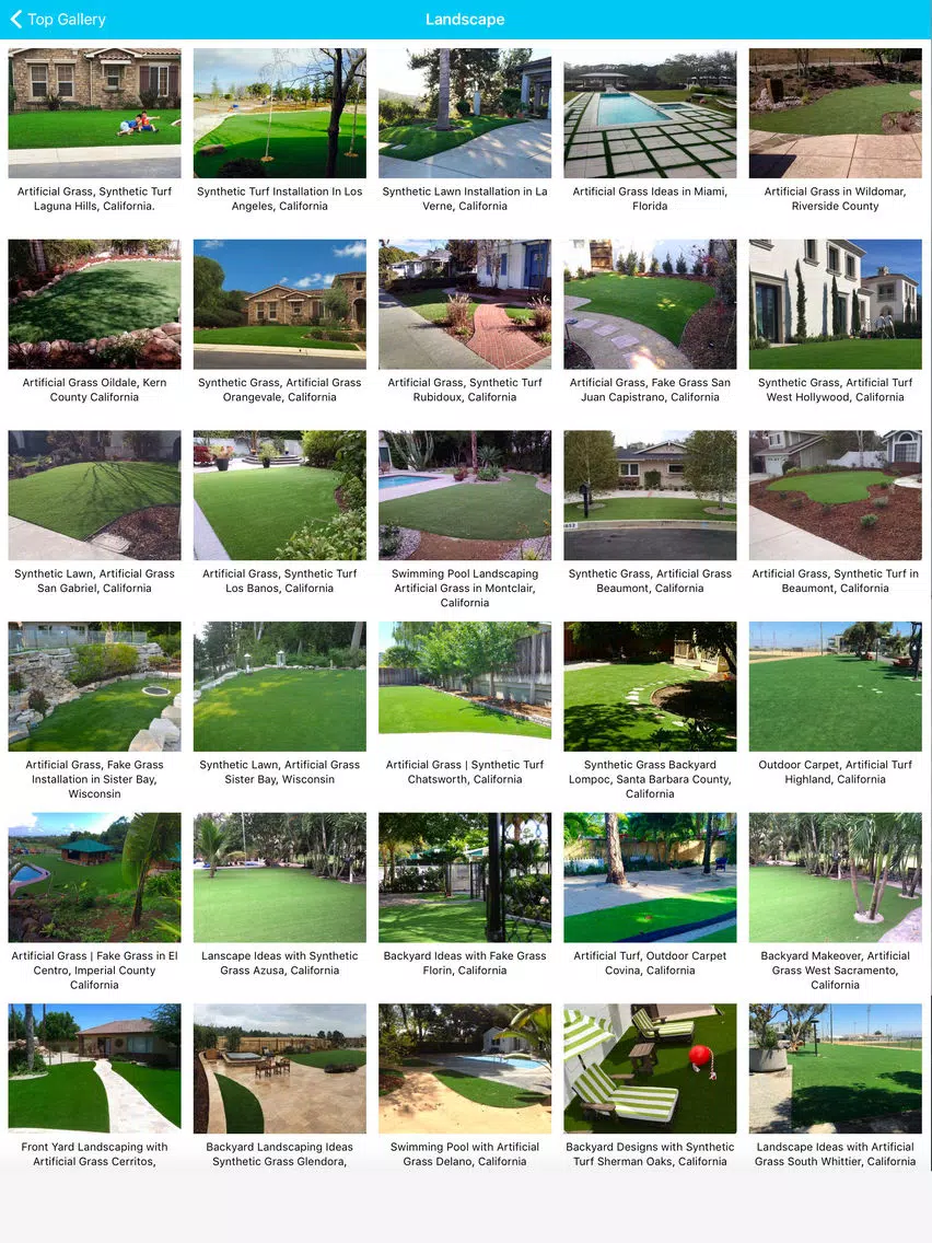 Artificial, Synthetic Grass iPad 应用截图